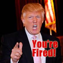 donald your fired