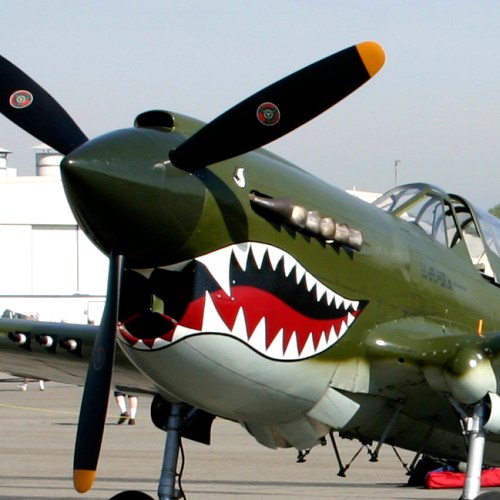 P-40 Warhawk- Photo Credit Sarah Vaughan